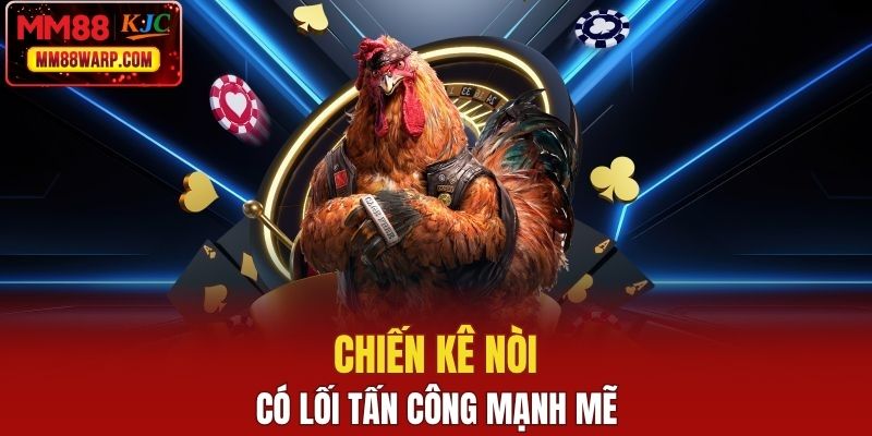 Chiến kê nòi có lối tấn công mạnh mẽ