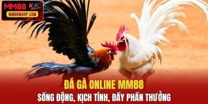 đá gà online